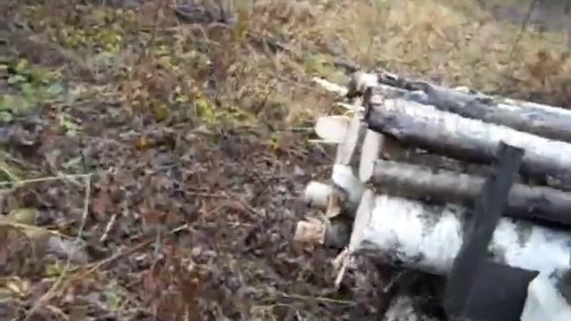 в лес по дрова смотреть онлайн