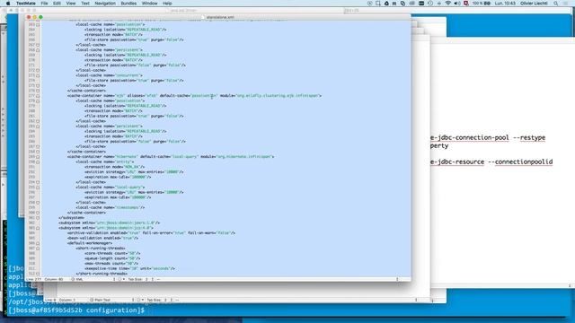 Bootcamp 4.6: configuration de Wildfly via Docker смотреть онлайн