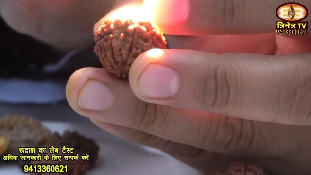 How To Test Rudraksh|Original Rudraksh Lab Test रुद्राक्ष लैब टैस्ट कैसे होता है Rudraksh Lab test смотреть онлайн