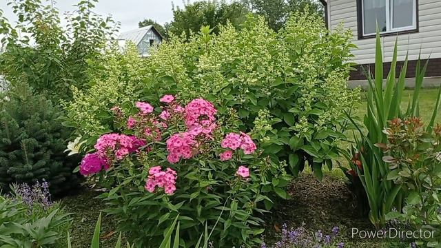 Влог на даче/новый дровенник/инкубация яиц