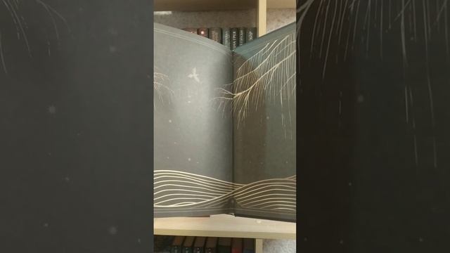 распаковка книг смотреть онлайн