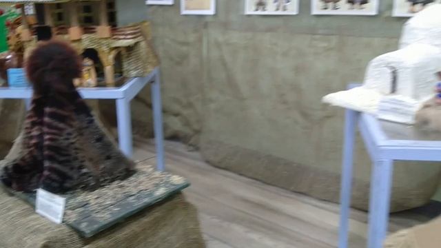 Видео-экскурсия "Иглу - жилище эскимосов" автор Мужилов Александр смотреть онлайн