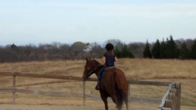 RKE Willys Top PA - riding lesson - lope 2 - Valley View Ranch смотреть онлайн