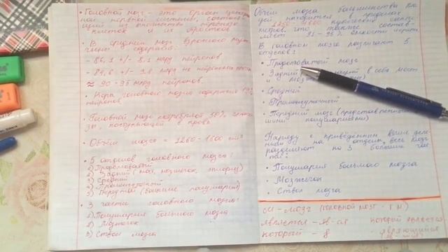 КАК ЛУЧШЕ ВСЕГО ЗАПИСЫВАТЬ ЛЕКЦИИ?! 3 способа / Как успевать под быструю диктовку ?? смотреть онлайн