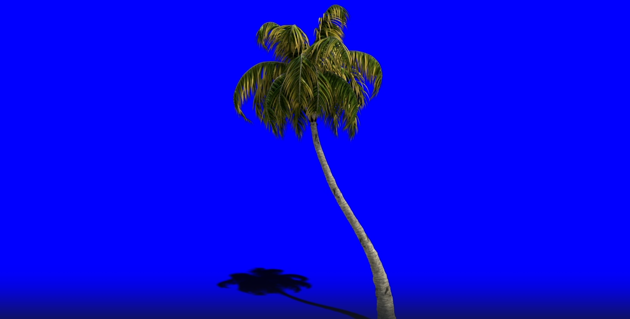 Бесплатный Футаж Пальма Растёт - Анимация Роста Дерева Хромакей смотреть онлайн