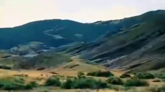 чоткая музыка на баяне 2022 смотреть онлайн