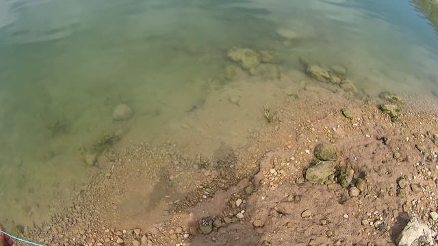 Речные монстры сожрали рыбу смотреть онлайн