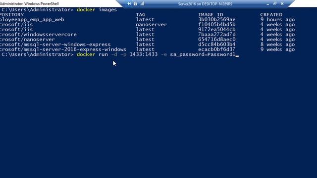 Part 13 - Working with SQL Server 2016 Image of Docker смотреть онлайн