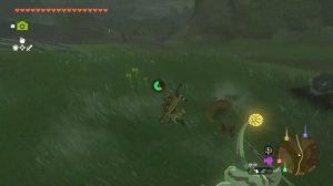 Липкая Броня Какугама Zelda Tears of the Kingdom ➤ Где найти Квакшин Доспехи