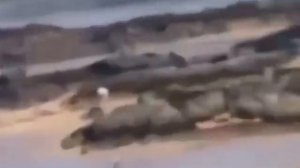 Цунами в Таиланде 2004