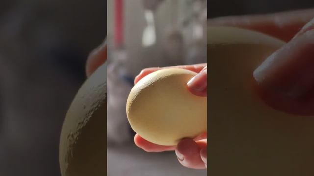 ВАУ способ покраски яиц. Не банальные экологичные идеи. Супер идея! Сохраняйте ! Готовимся к ПАСХЕ смотреть онлайн