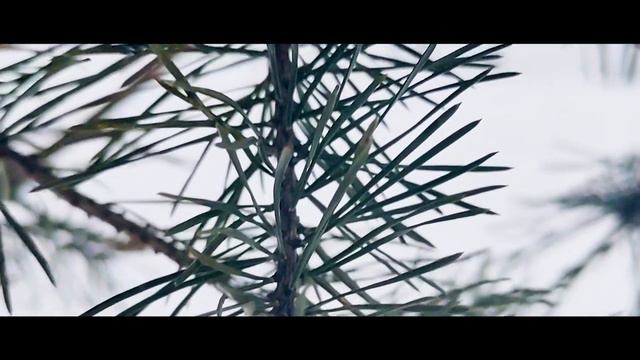 Woodju Mask смотреть онлайн