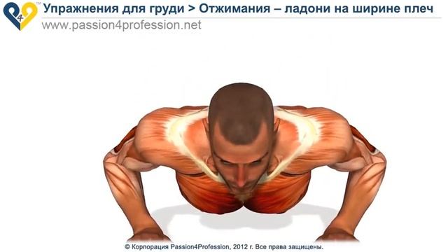 КАК ПРАВИЛЬНО ОТЖИМАТЬСЯ отжимания от пола смотреть онлайн