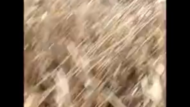  Шабалино,озеро Татарское, Это просто УЖАС!!!!