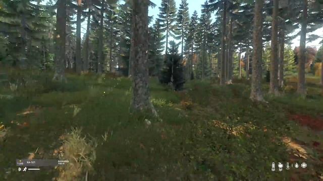 A NOITE MAIS LONGA - DayZ смотреть онлайн
