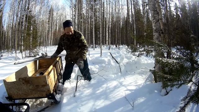 Промысел.жизнь в тайге.Тринадцатая часть. hunting for traps, life in the taiga смотреть онлайн