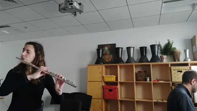 Flute Concerto in E minor (Saverio Mercadante) - Linda Stromer смотреть онлайн