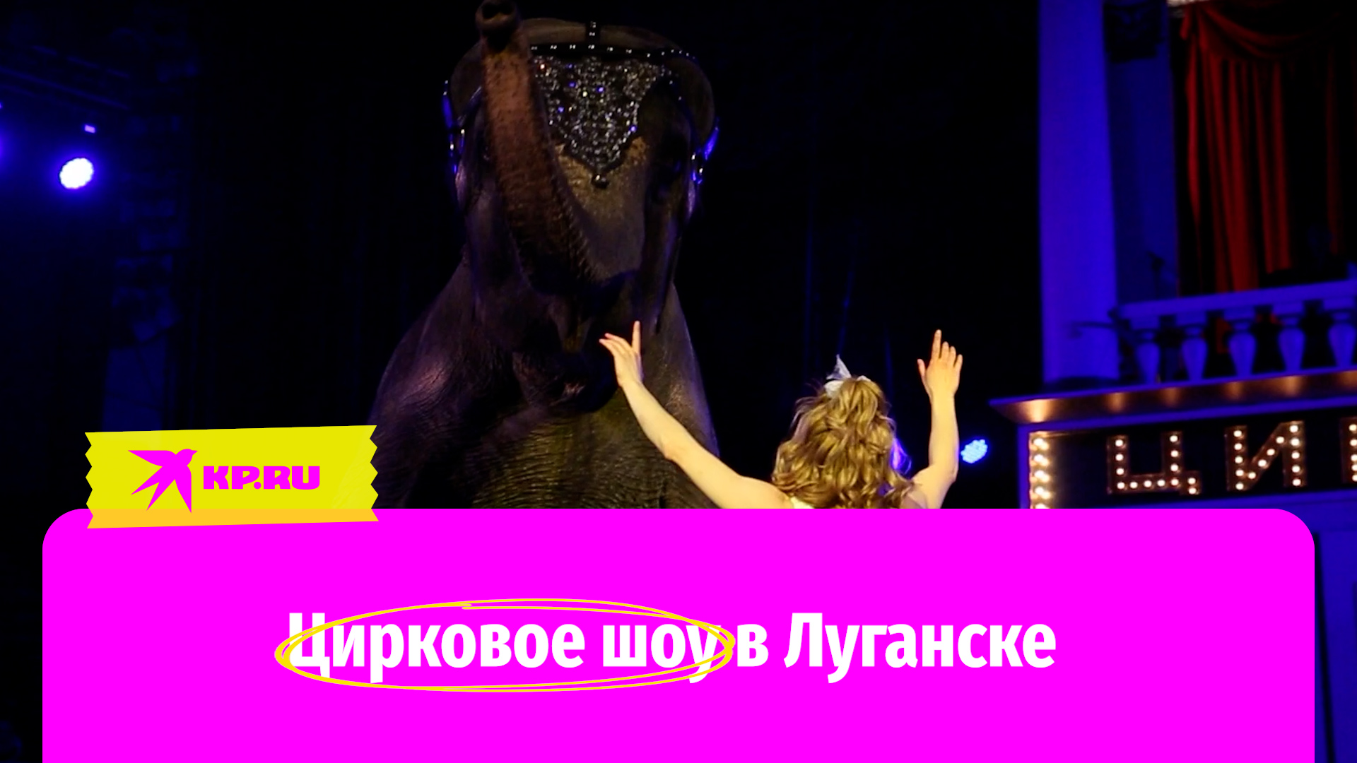 В Луганском цирке состоялась премьера шоу «Девочка и слон» смотреть онлайн