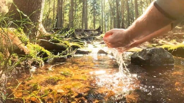 Исцеляющая музыка для сна – регенерация всего тела и эмоциональное исцеление – устранение негативны смотреть онлайн