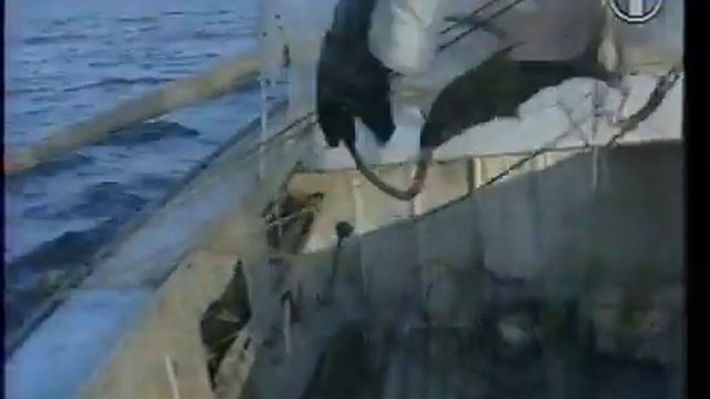 Песня№306 Играй,гармонь! смотреть онлайн