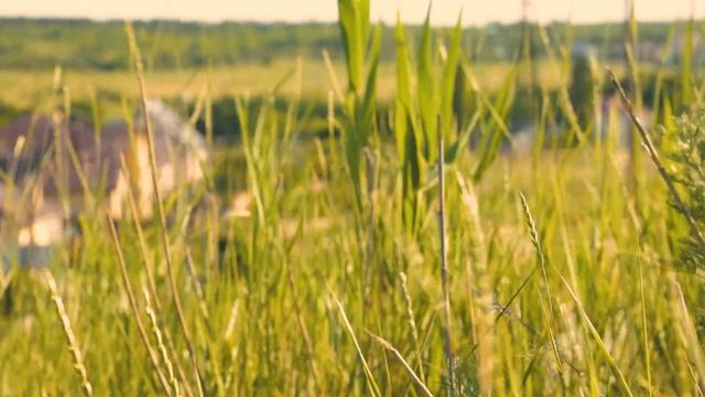 Приключенческие Фильмы