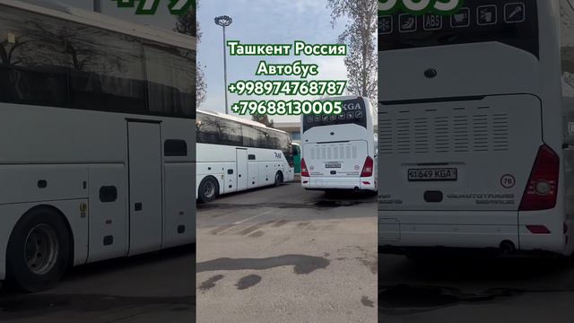 Ташкент Россия Автобус 🚌 #автобус #москва #ташкент #россия #tashkent #рязань #таджикистан #тула смотреть онлайн