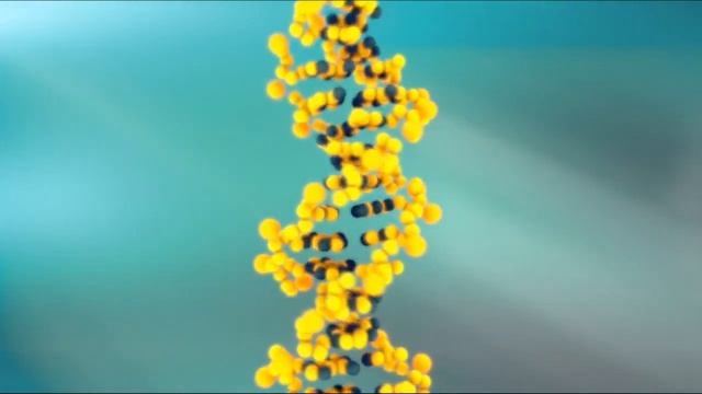 ДИВАННЫЕ ЭКСПЕРТЫ и ПИСАТЕЛЬ ЗА НЕДЕЛЮ РАССЛЕДОВАЛИ ТО, ЧТО ПОЛИЦИЯ НЕ МОГЛА 13 ЛЕТ смотреть онлайн