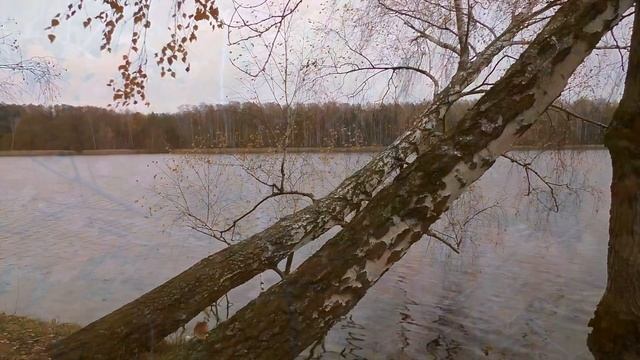 2. Ошо. Внутренний свет. 2 часть. Медитации смотреть онлайн