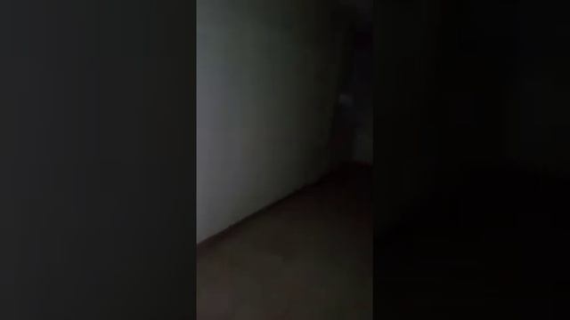 Приемный покой