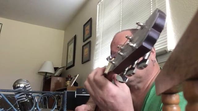 Bird Song (Washburn Woodline W10s) смотреть онлайн