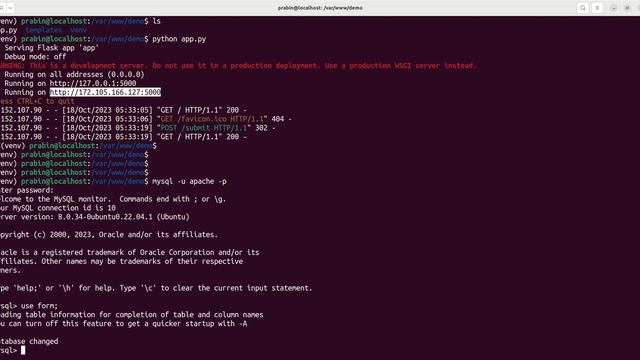 Flask-App-Deployment-with-Apache-and-mod_wsgi смотреть онлайн