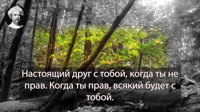 Марк Твен. Нет зрелища более грустного, чем молодой пессимист, за исключением старого оптимиста. смотреть онлайн