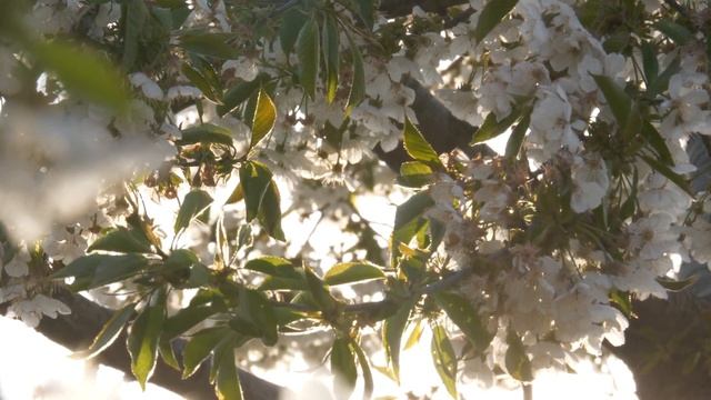 Цитаты про жизнь-часть третья. смотреть онлайн