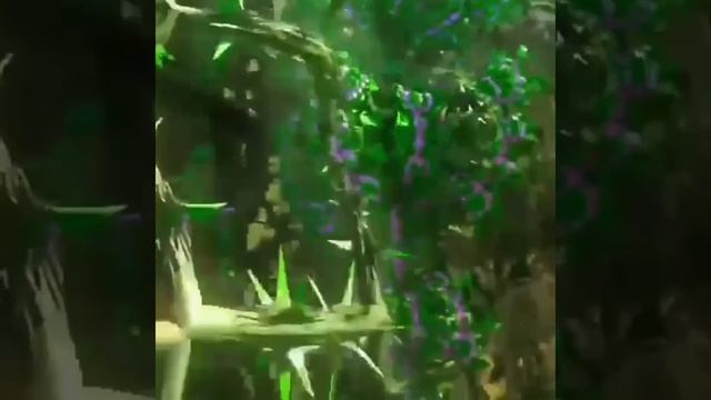 Когда не знаете точного ответа смело доверяйте своей интуиции смотреть онлайн