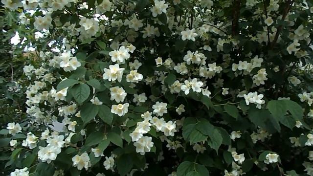 Крым. Алушта вечером 18.05.2016 смотреть онлайн