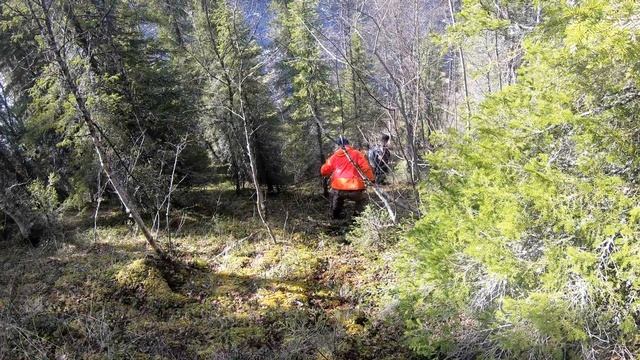 Salmon fishing -Chapoma river, Kola, 2022. Рыбалка на сёмгу, Кольский п-ов, Терский берег, р. Чапом смотреть онлайн
