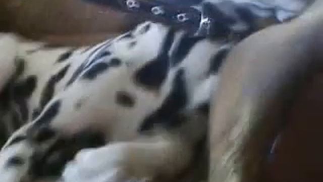 подуй в нос