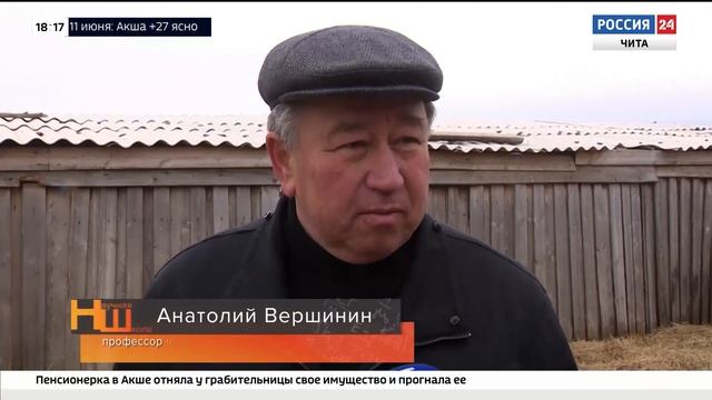 Научная школа, 10 июня 2021 смотреть онлайн