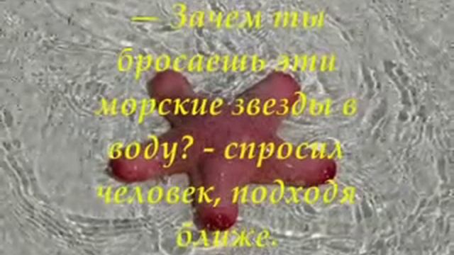 Притча о морской звезде и мальчике смотреть онлайн