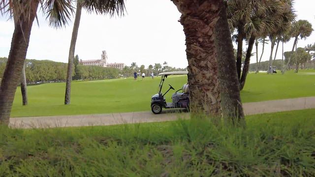 Walking Palm Beach, Florida from Royal Palm Way to Royal Poinciana Way смотреть онлайн