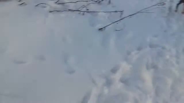Мороз и солнце, день чудесный) смотреть онлайн