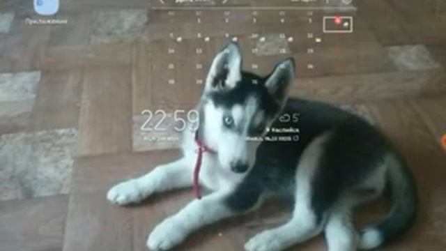 Как взломать SHADOW WIGHT 2 на много денег и кристаллов и получить ученика смотреть онлайн