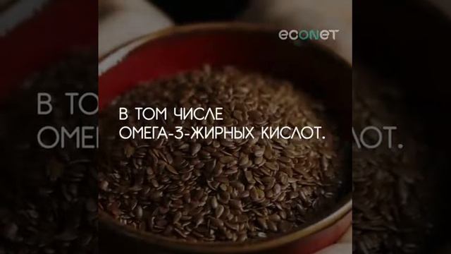 Польза семян льна смотреть онлайн