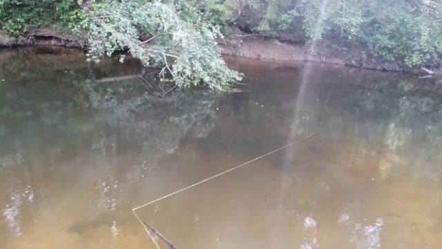 Рыбалка на реке Оредеж! Дорогами Древности! 2023 #рыбалка #рыбалканаспиннинг смотреть онлайн