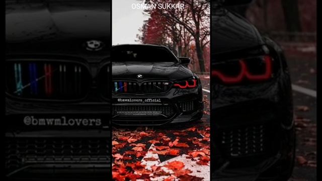 The most beautiful bmw wallpapers