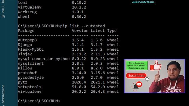 PIP (Package Installer for Python): Administrador de Paquetes de Python ✅ | Curso Python 3 ? # 62 смотреть онлайн