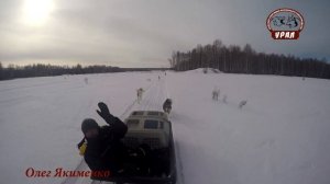 Якименко Олег Заводчик западно-сибирская лайка Laika beast