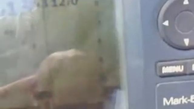 Эхолот Марк 5 х про смотреть онлайн