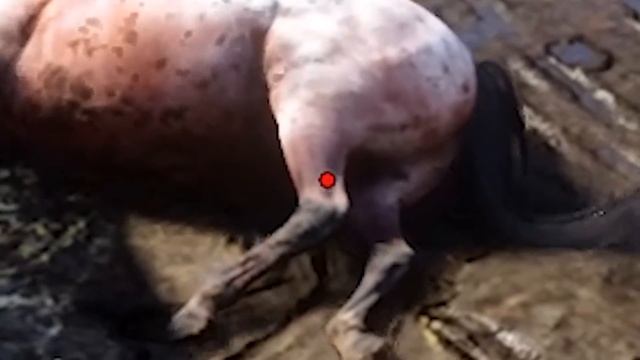 UNLIMITED MONEY, God Mode, & RDR2 Cheats! Red Dead Redemption 2 PC смотреть онлайн