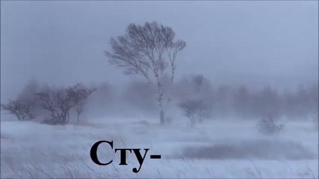 Автоматизация звука Ж в слогах смотреть онлайн